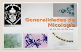 1.  Generalidades de Micología