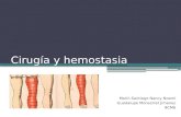 Cirugía y hemostasia
