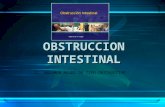 22. Obstruccion-Intestinal