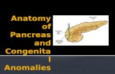 Pancreas Congenital Anomalies (agenesis, pancreas divisum, annular pancreas, ectopic pancreas, congenital cysts) - reference mostly from Textbook of Robbins Pathology