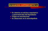 8. hormona antidiuretica. diabetes insipida