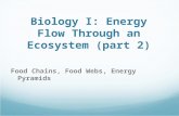 Ecosystemenergyflowpart2 111005093440-phpapp01 (2)