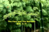 The Fern And The Bamboo蕨与竹