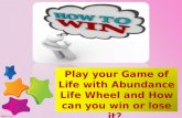 You can Win or Lose your Game of Life with Abundance Life Wheel
