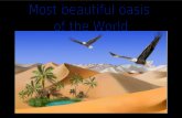 Most beautiful oasis in the world
