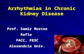 Arrhythmias in chronic kidney disease samir rafla