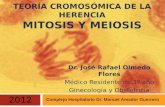 Teoría Cromosomica de la Herencia - Mitosis y Meiosis