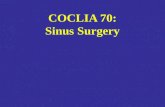 Ee3a Coclia70 Sinus Surgery