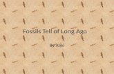 Fossils tell of long ago