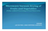 Microwave vacuum dryer