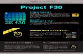 Projcet F30のご案内（Social Conference2011配布用）