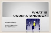 What is understanding