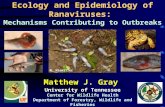 Ecology and Epidemiology of Ranaviruses