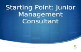 Starting Point: Junior Management Consultant
