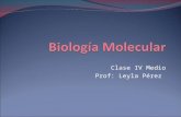 Dogma centra de la biología molecular
