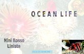 Ocean Life (Nx Power Lite)