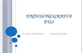 Cfare eshte endosonografia.
