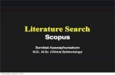 Literature Search - Scopus