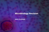 Microbiology Revision