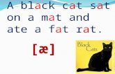 A black cat sat on a mat and
