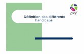 GIHP Aquitaine - Définition des différents types de handicap - Formation MOPA 13 & 14 12 2010