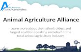 Animal Agriculture Alliance Overview