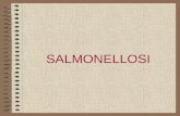 Salmonelle ch