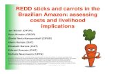 REDD Sticks and Carrots in the Brazilian Amazon