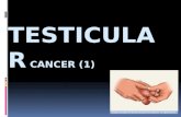 Testicular cancer