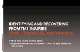 Identifying And Recovering From Tmj  Injuries