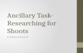 Ancillary Task Research for Shoots