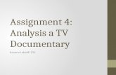 Assignemt 4; introduction to documentary task