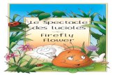 Le spectacle des lucioles - Firefly Flower