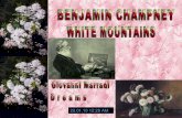 Benjamin Champney  White Mountains]