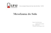 Seminario microbiologia solo_mesofauna
