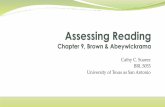 Assessing reading