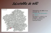 Salvaterra De  Miñ0