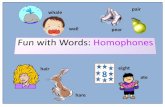 Homophones - Words that sound the same but have different meanings