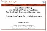 Implementing the Global Plan of Action for Animal Genetic Resources: Opportunities for collaboration