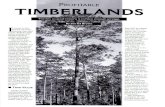 Profitable Timberlands