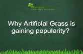 Why artificial grass is gaining popularity?