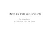 H2O Big Data Environments