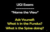 Radiology Clinical V ~ UGI Exams ~ "Name the View"