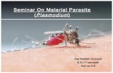 Seminar on Malaria Plasmodium