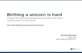 Birthing a Unicorn is Hard - Cornell entrepreneurship summit