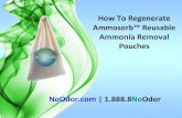 How To Regenerate & Reuse Ammosorb