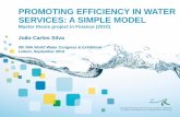 Promoting efficiency in water services