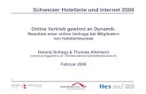 Schegg & Allemann 2009 Schweizer Hotellerie und Internet 2008