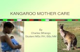 Kangaroo Mother Care in Malawi
