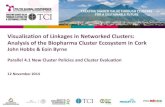 TCI 2014 Visualisation of Linkages in Networked Clusters: Analysis of the Biopharma Cluster Ecosystem in Cork